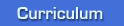 CURRICULUM